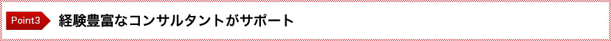 経験豊富なコンサルタントがサポート